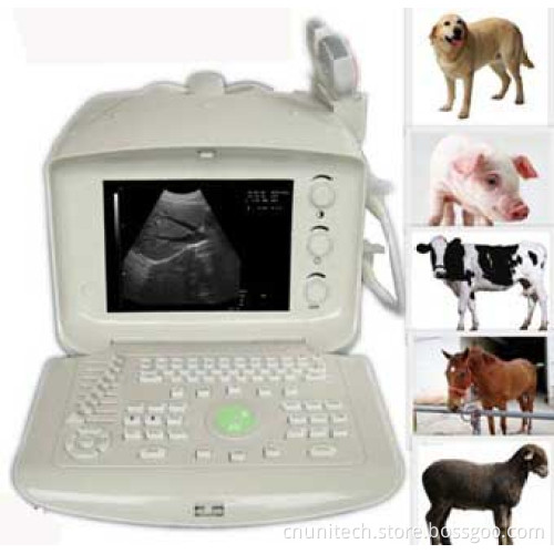 Vet Portable Ultrasound Unt-315V